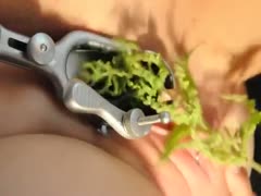 A lascivious bitch allows me to use a vaginal speculum to expand her cum-hole.